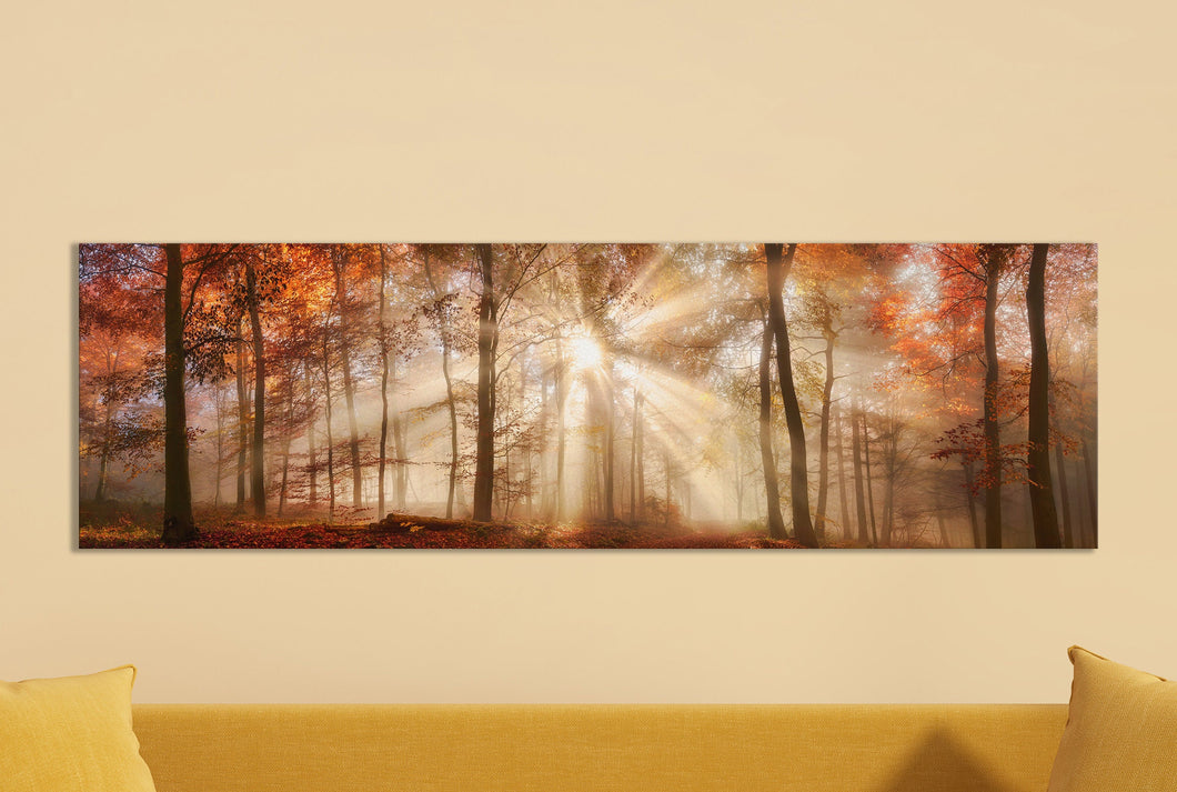 Rays of sunlight in a misty autumn forest framed canvas leather print/Large wall art/Autumn forest print/Made in Italy/Better than canvas!