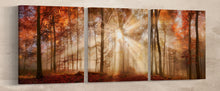 Charger l&#39;image dans la galerie, Rays of sunlight in a misty autumn forest framed canvas leather print/Large wall art/Autumn forest print/Made in Italy/Better than canvas!