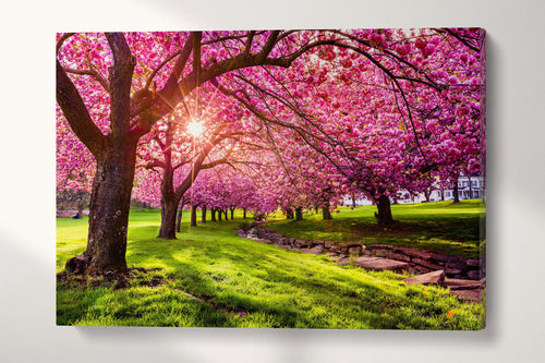 Cherry tree blossom wall decor