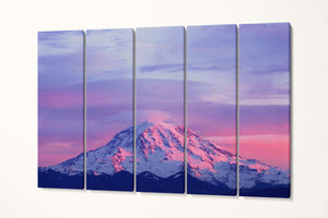 Sunset on Mount Rainier Canvas Leather Print 5 pieces