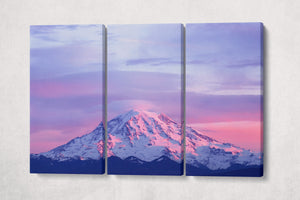Sunset on Mount Rainier Canvas Leather Print 3 pieces
