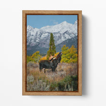 Laden Sie das Bild in den Galerie-Viewer, Bull In The Grass Grand Teton National Park Canvas Wall Art Home Decor Eco Leather Print Natural Frame