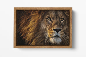 Lion Face Wall Art Premium Wood Frame Canvas Eco Leather Print