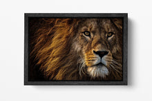 Laden Sie das Bild in den Galerie-Viewer, Lion Face Wall Art Premium Black Frame Canvas Eco Leather Print