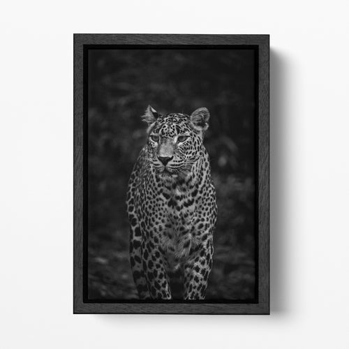 Leopard Black and White Portrait Canvas Wall Art Home Decor Eco Leather Print Black Frame