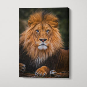 Lion Blue Eyes Portrait Canvas Wall Art Home Decor Eco Leather Print, Made in Italy!