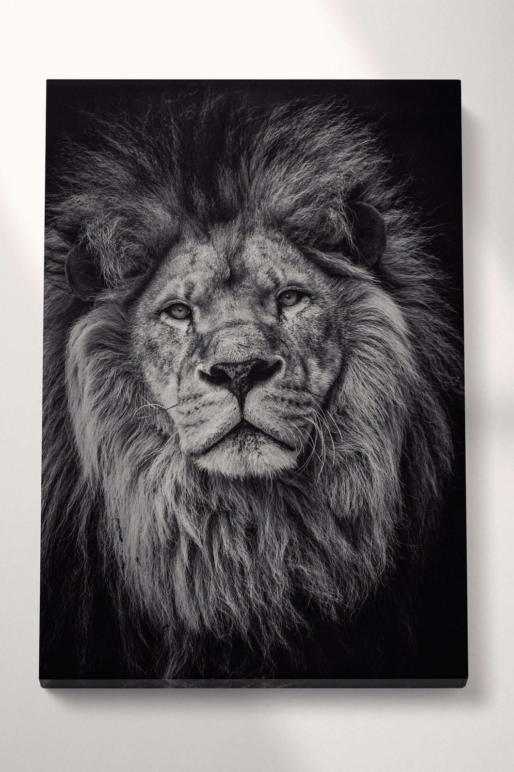 Lion Black and White Closeup Canvas Wall Art Home Decor Eco Leather Print