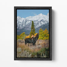 Load image into Gallery viewer, Bull In The Grass Grand Teton National Park Canvas Wall Art Home Decor Eco Leather Print Black Frame