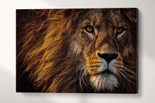 Carica l&#39;immagine nel visualizzatore di Gallery, Lion Face Wall Art Premium Wood Frame Canvas Eco Leather Print