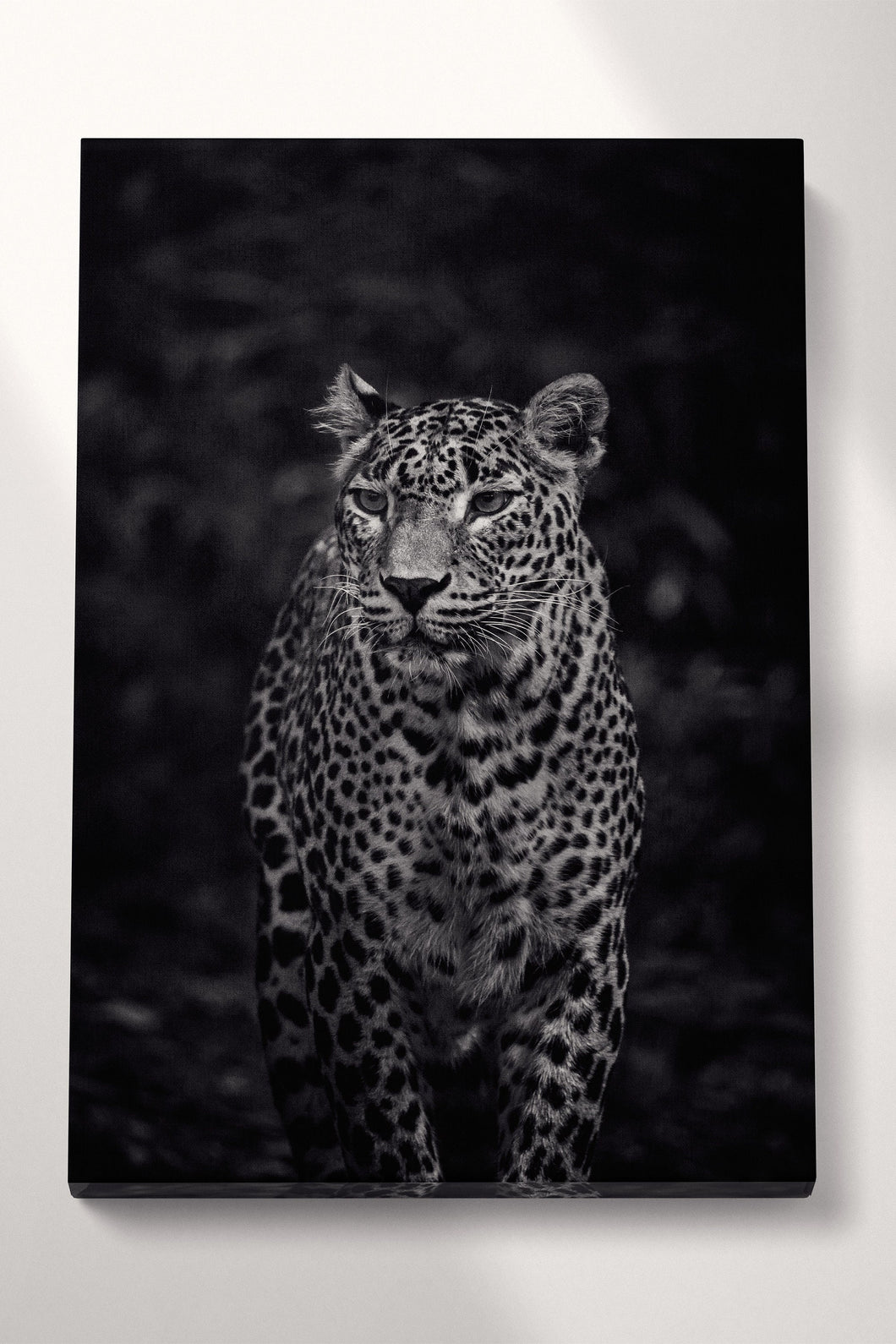 Leopard Black and White Portrait Canvas Wall Art Home Decor Eco Leather Print