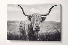 Load image into Gallery viewer, long haired cattle black and white wall decor