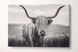 long haired cattle black and white wall decor